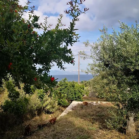 In Nature Βίλα