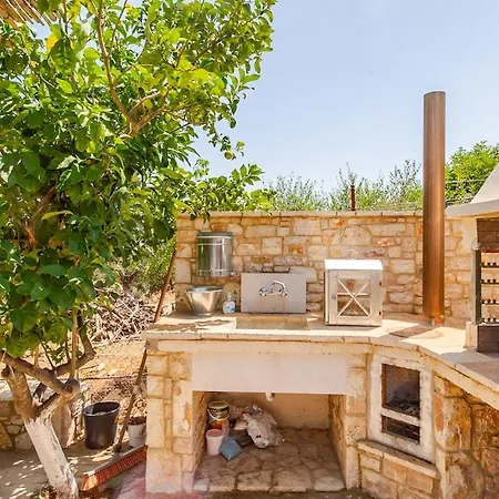 In Nature فيلة *