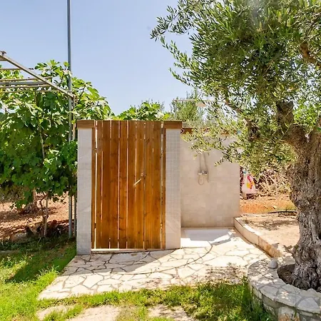 In Nature فيلة *